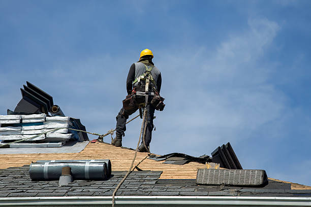 Professional Flat Roof Repair technician working in Bell, FL